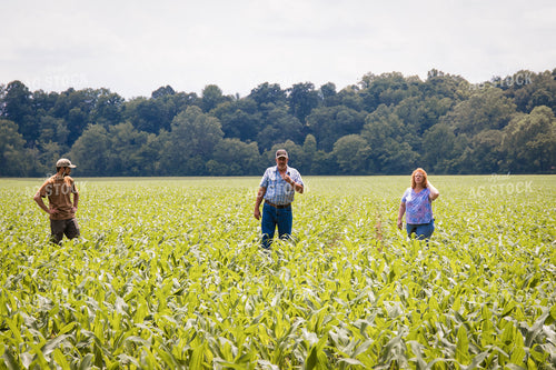 Farm Family Scouting Corn 52215