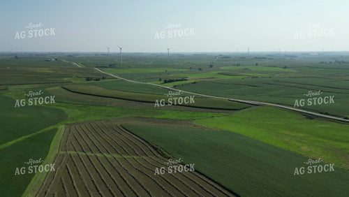 Aerial of Cut Hay Field 268025