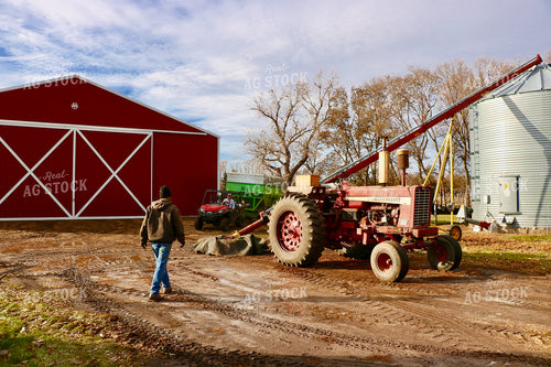Farmers Setting Up Grain Auger 299289