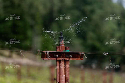 Irrigation in Vineyard 107048