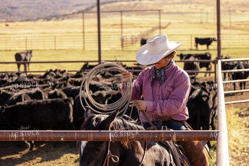 Rancher Preparing Lasso 163048