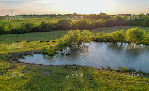 Aerial of Summer Pasture 261057