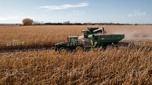 Corn Harvest 114017