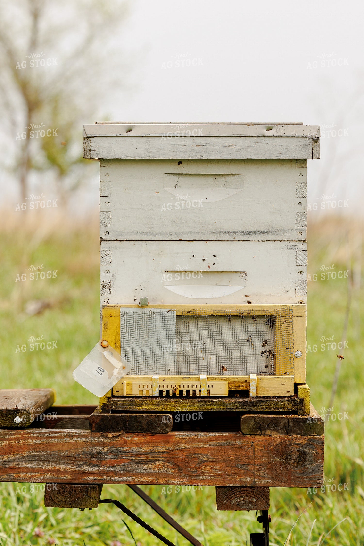 Bee Box 104028