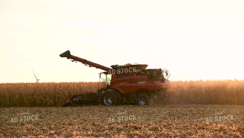 Combine Harvesting Corn at Sunset - 561