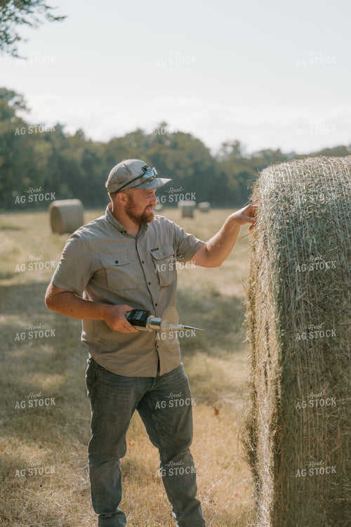 Farmer Checking Hay Moisture 125399