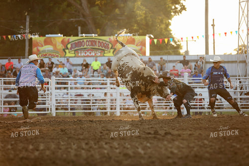 Rodeo 127079