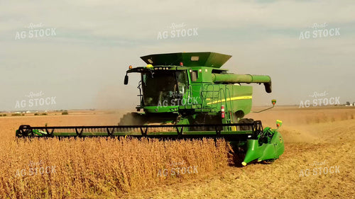 Soybean Harvest 287028