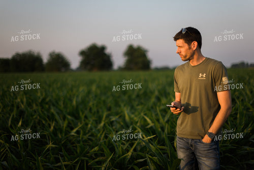 Young Farmer Using Phone in Corn Field 8166