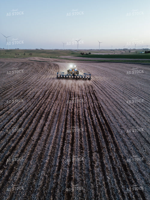 Planting 67699