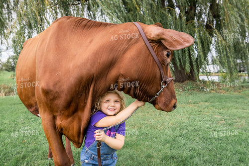 Farm Kid with Show Cow 270080