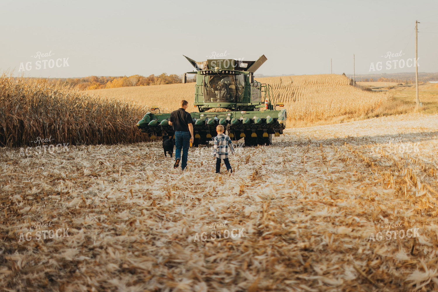 Farmer and Son Getting into Combine 9480