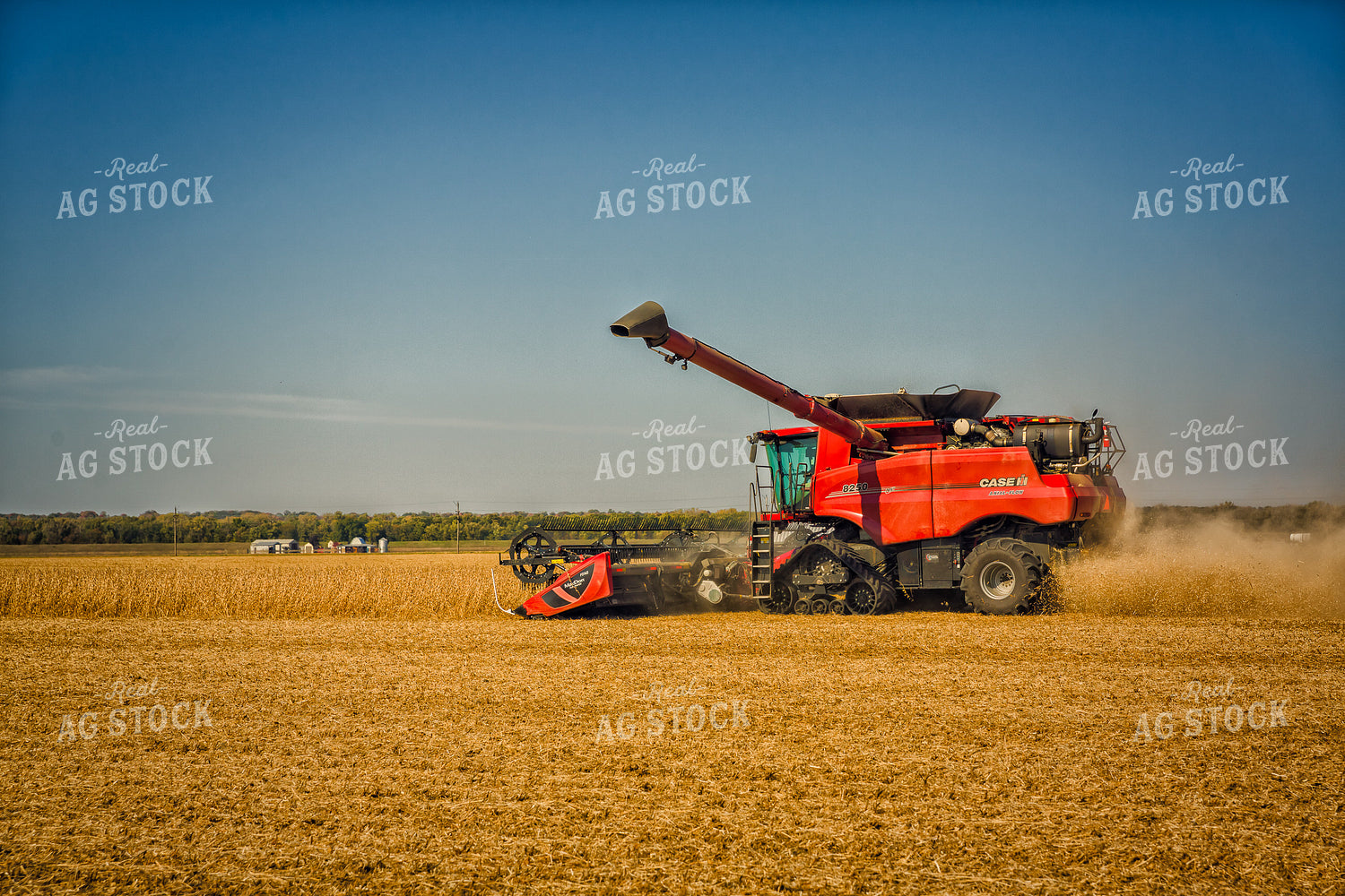 Soybean Harvest 153009