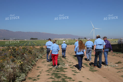 Tour on Vegetable Farm 102105