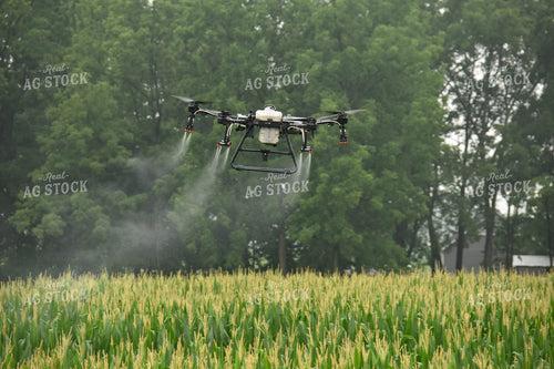 Drone Sprayer Above Corn 85022