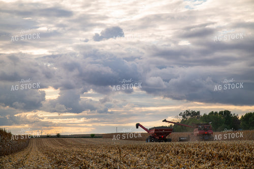 Combine Unloading Corn into Auger Wagon on the Go 25573
