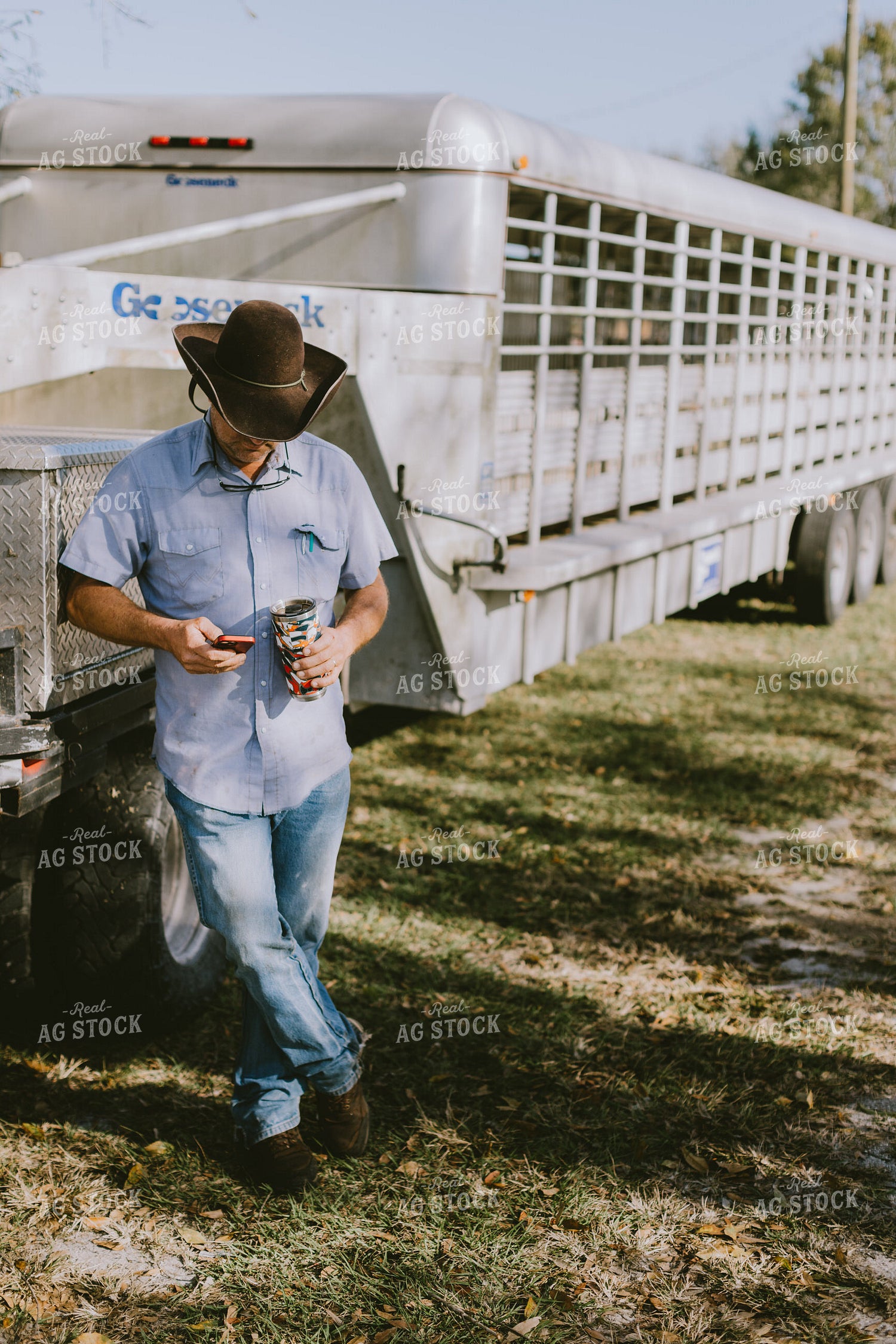 Rancher Looking at Phone 7315