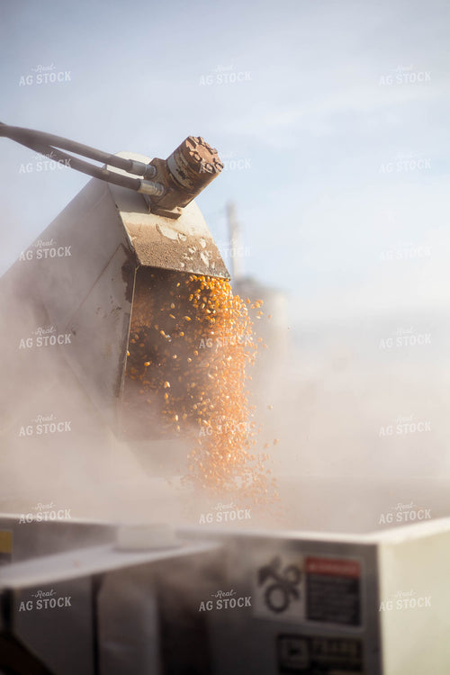 Grinding Corn to Feed Cattle 97272