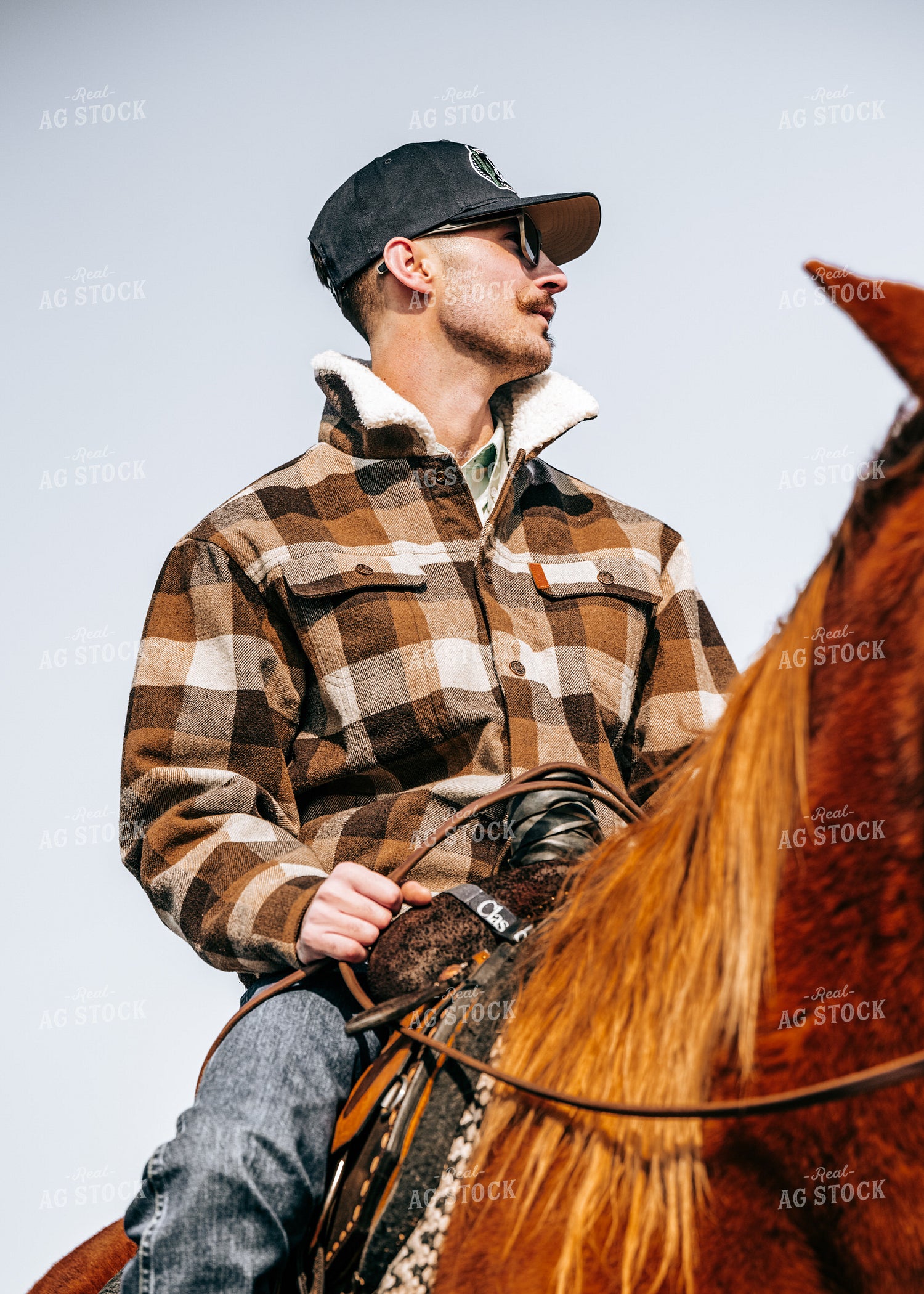 Rancher on Horseback 171021