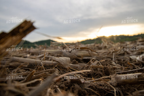 Crop Residue 52136