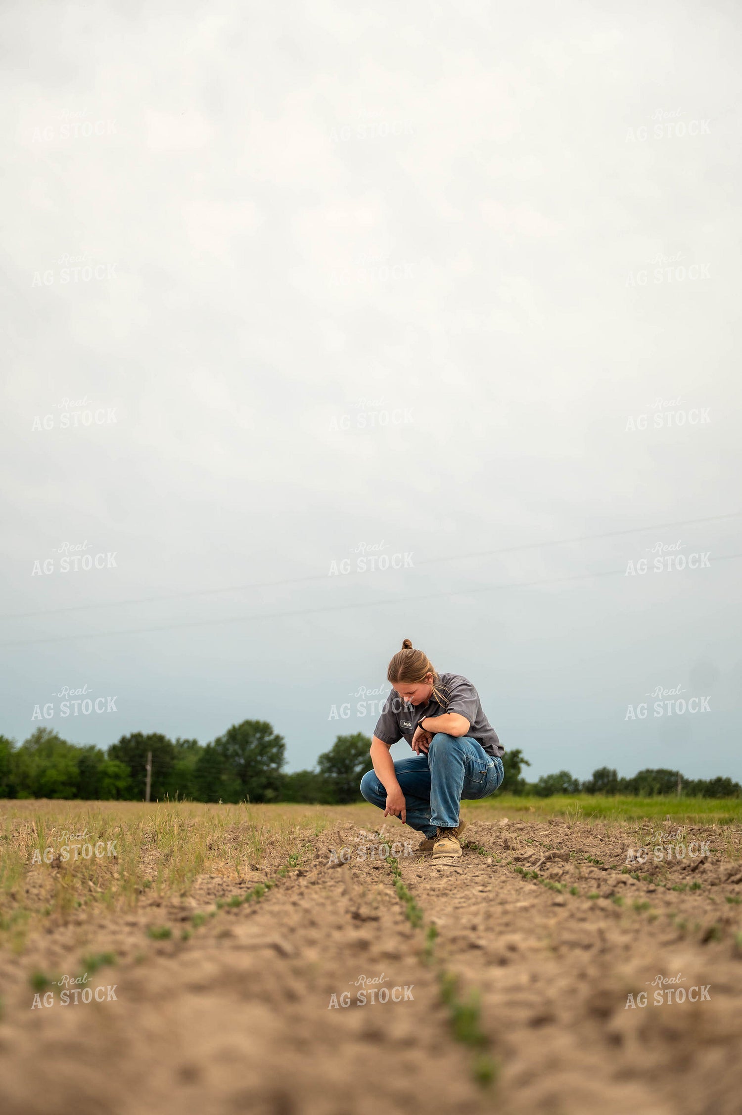 Female Farmer Checking Early Growth Soybeans 115728