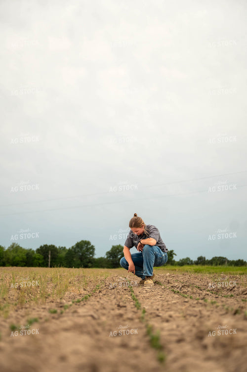 Female Farmer Checking Early Growth Soybeans 115728