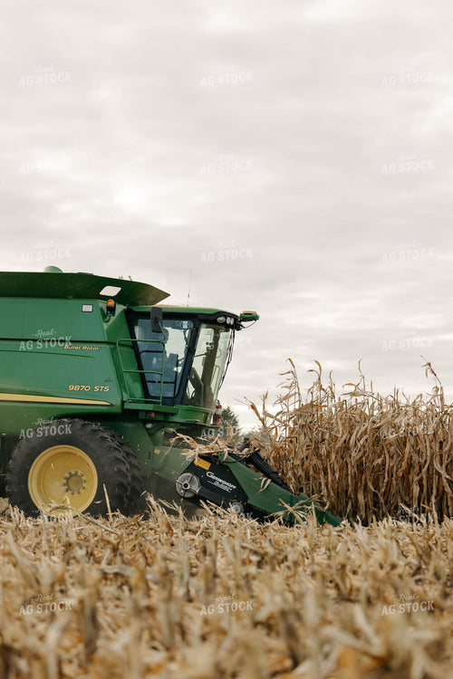 Corn Harvest 152901