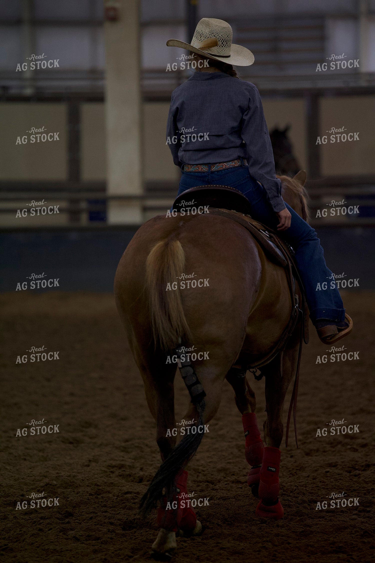 Female on Horseback 205061