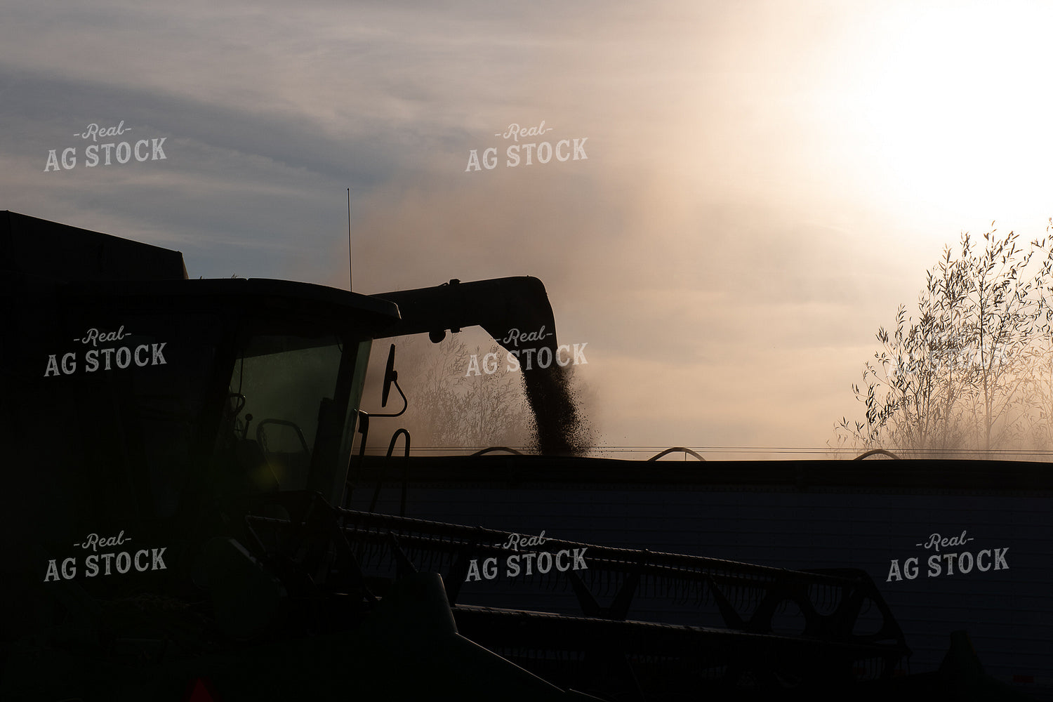 Unloading into Semi 50282