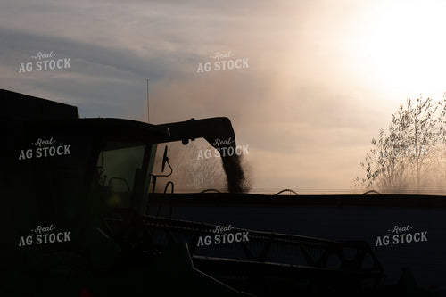 Unloading into Semi 50282