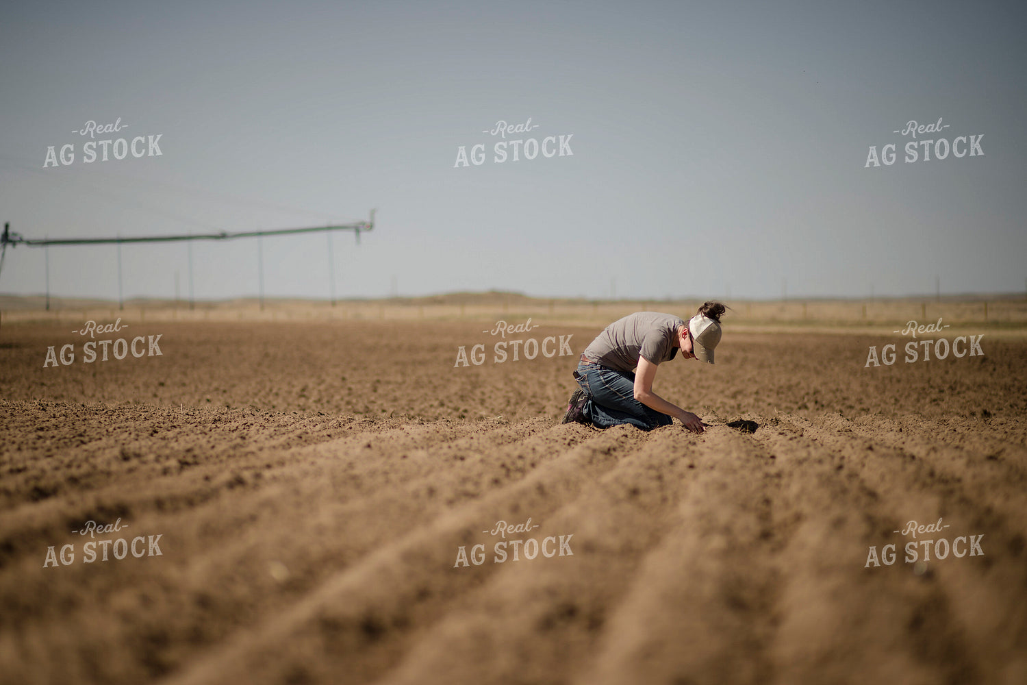 Female Farmer Checking Seed Depth 135074
