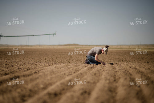 Female Farmer Checking Seed Depth 135074