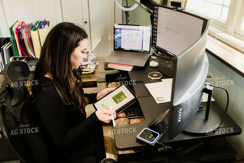 Female Appraiser Working at Computer 9422