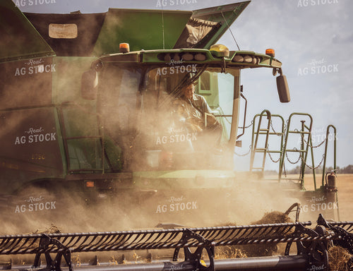 Pea Harvest 187262