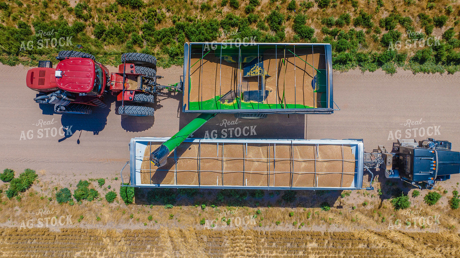 Wheat Harvest 199046
