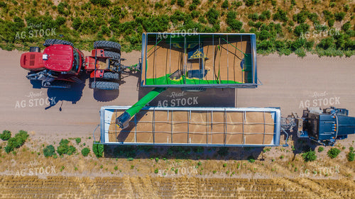 Wheat Harvest 199046