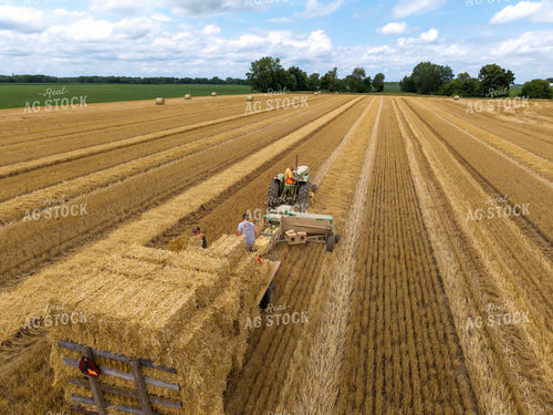 Baling Square Hay Bales 115809