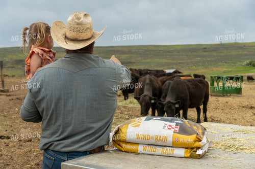 Father and Daughter Overseeing Cattle on a Scenic Ranch Landscape 65265