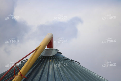 Unloading Grain into Bin 82321