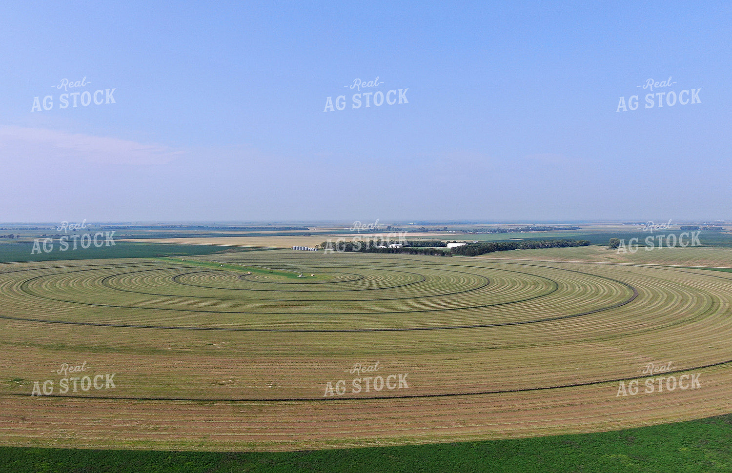 Irrigated Hay Field 141023