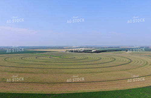 Irrigated Hay Field 141023