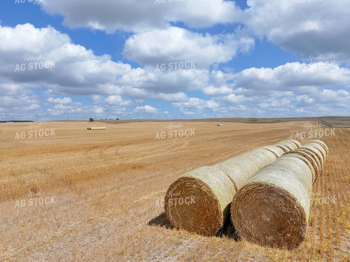 Harvested Wheat Field With Straw Bales 141737