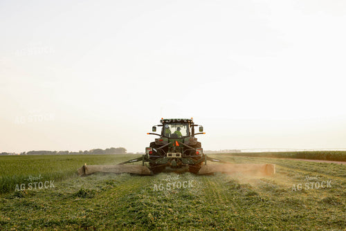 Cutting Hay 152010