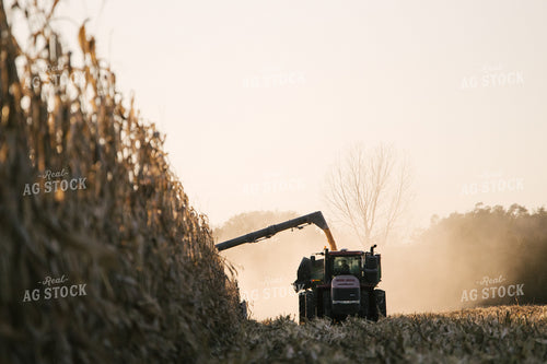 Nebraska Corn Harvest 70033
