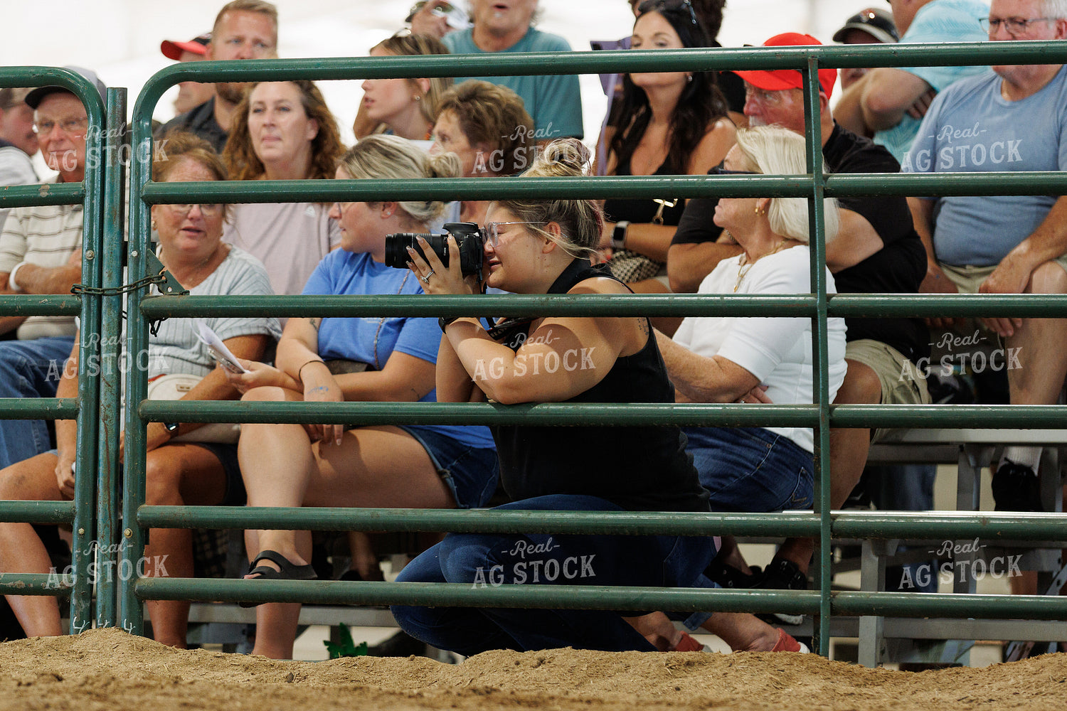 Livestock Show Photographer 295078