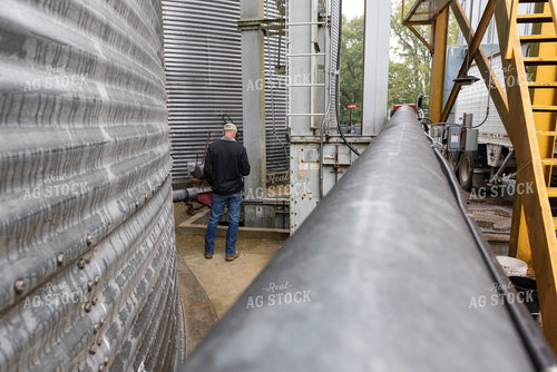 Farmer Loading Semi by Grain Bins 79660