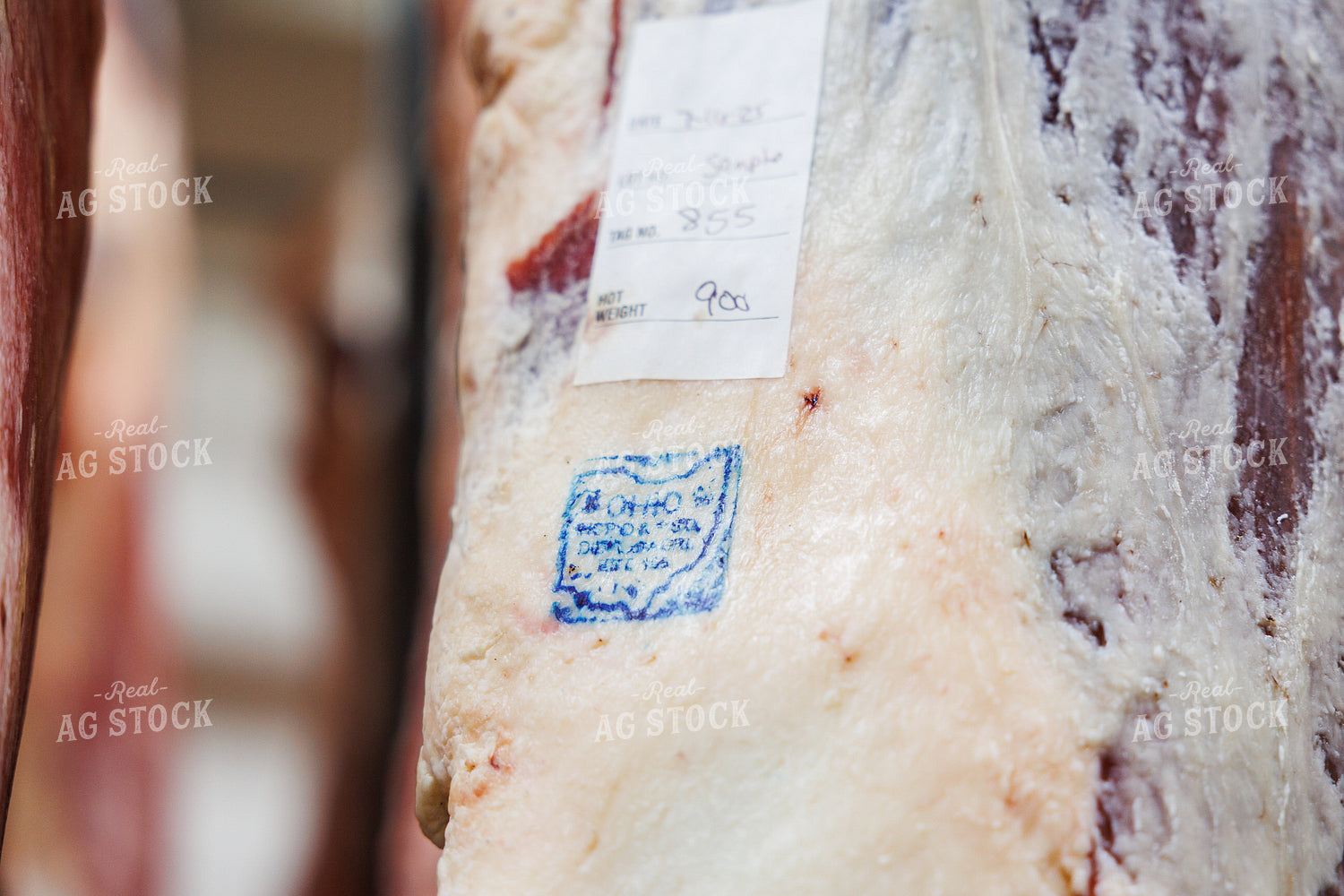 Pork Carcass 52857
