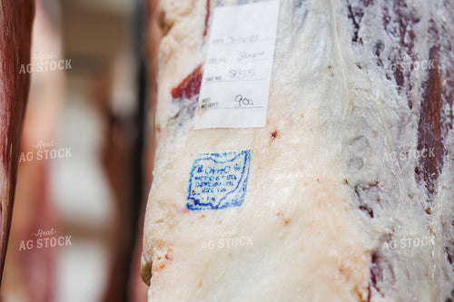 Pork Carcass 52857