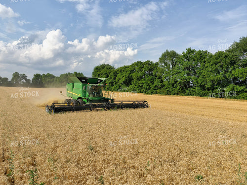 Combining Wheat 79036