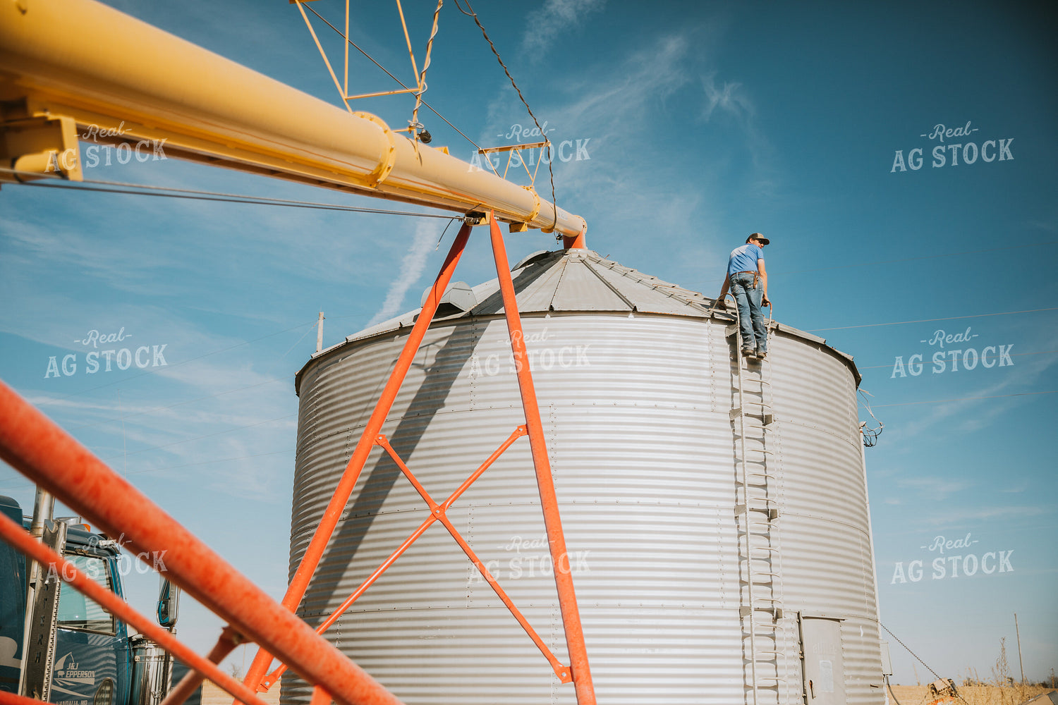 Auger Filling Grain Bin 7067